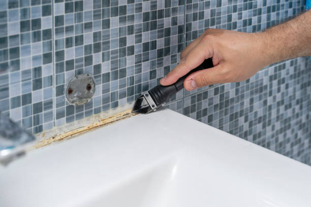 Best White Mold Remediation in Shinnecock Hills, NY