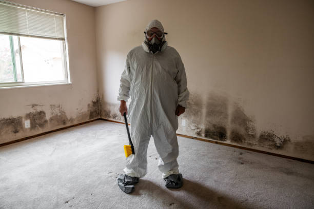Best Mold Testing and Inspection Services in Shinnecock Hills, NY